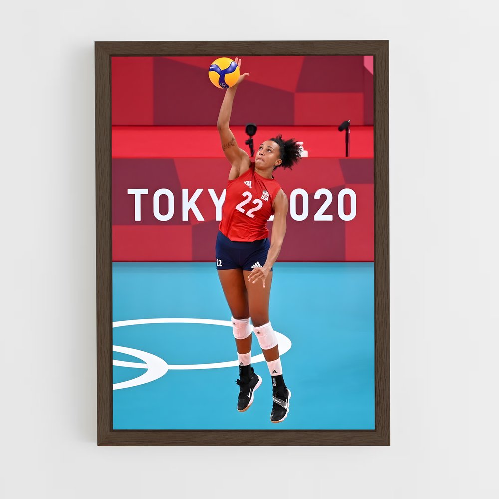 Poster Volleyball de world (vue 5)